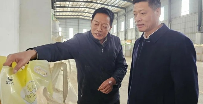 常德市领导调研非金属矿物制品产业链并开展安全生产检查